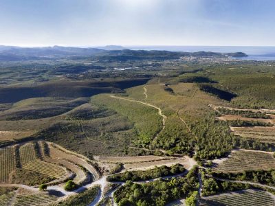 le-vignoble-gilles-iltis-atelier-sud-web-2